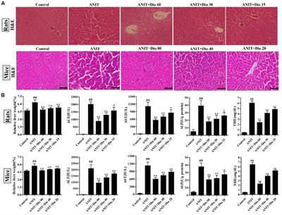 Dioscin Protects ANIT-Induced Intrahepatic Cholestasis Through Regulating Transporters, Apoptosis and Oxidative Stress